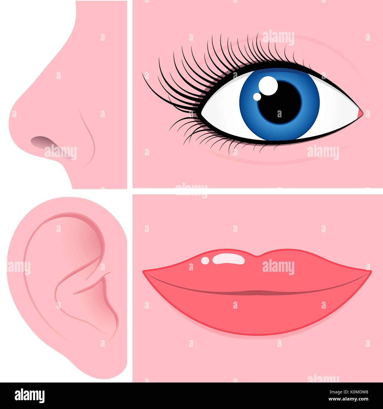 Nose, eye, ear and mouth collection Stock Vector Image & Art Alamy