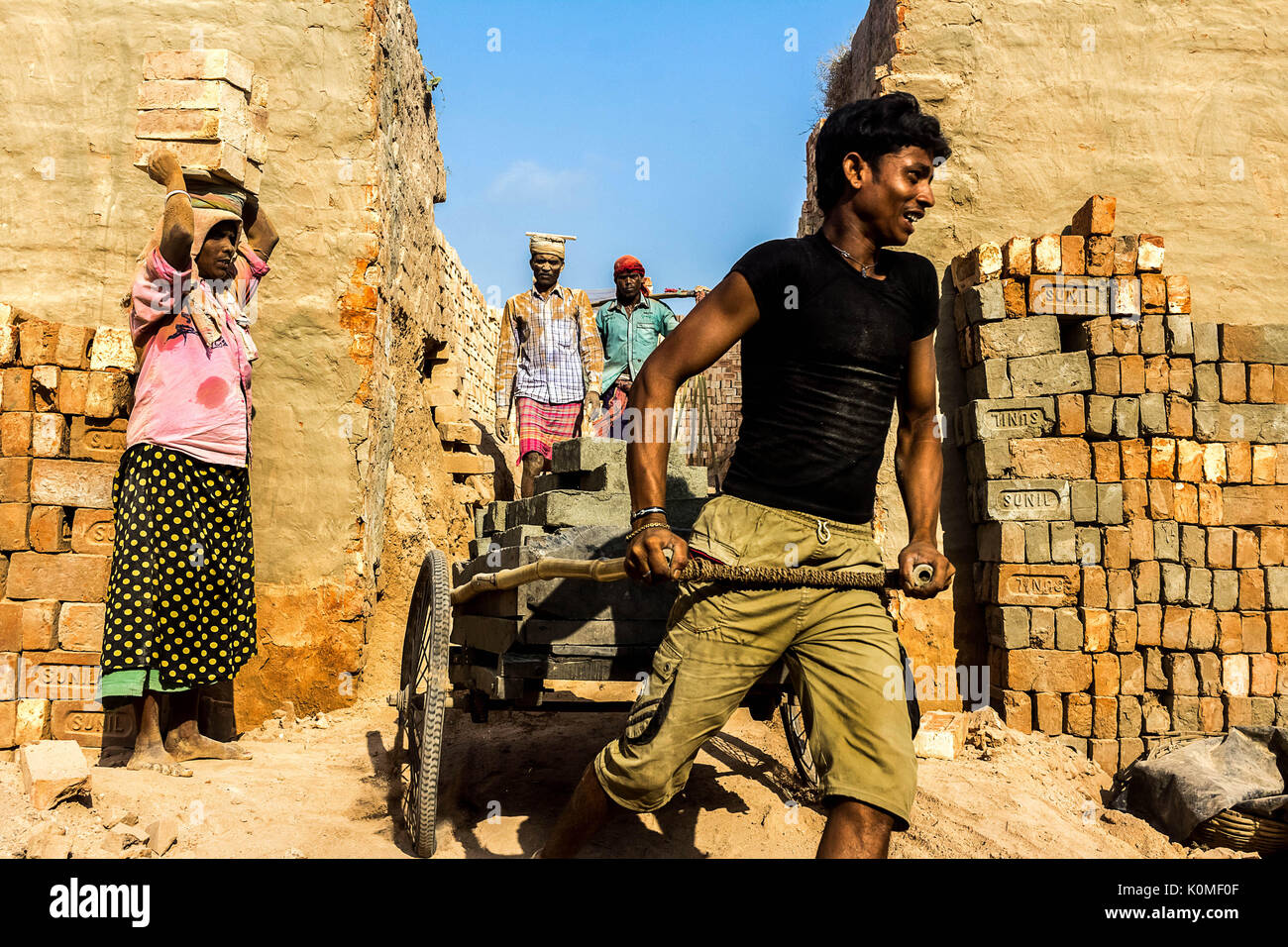 man carrying bricks on hand cart in Brick factory, India, Asia Stock Photo