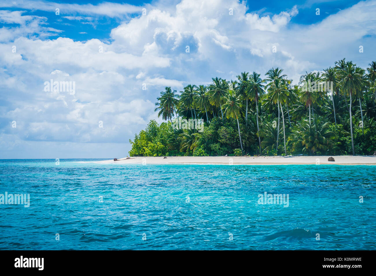 Tropical island palm trees Stock Photo