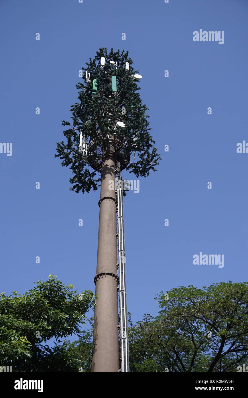 cellphone tower disguised as a tree Stock Photo