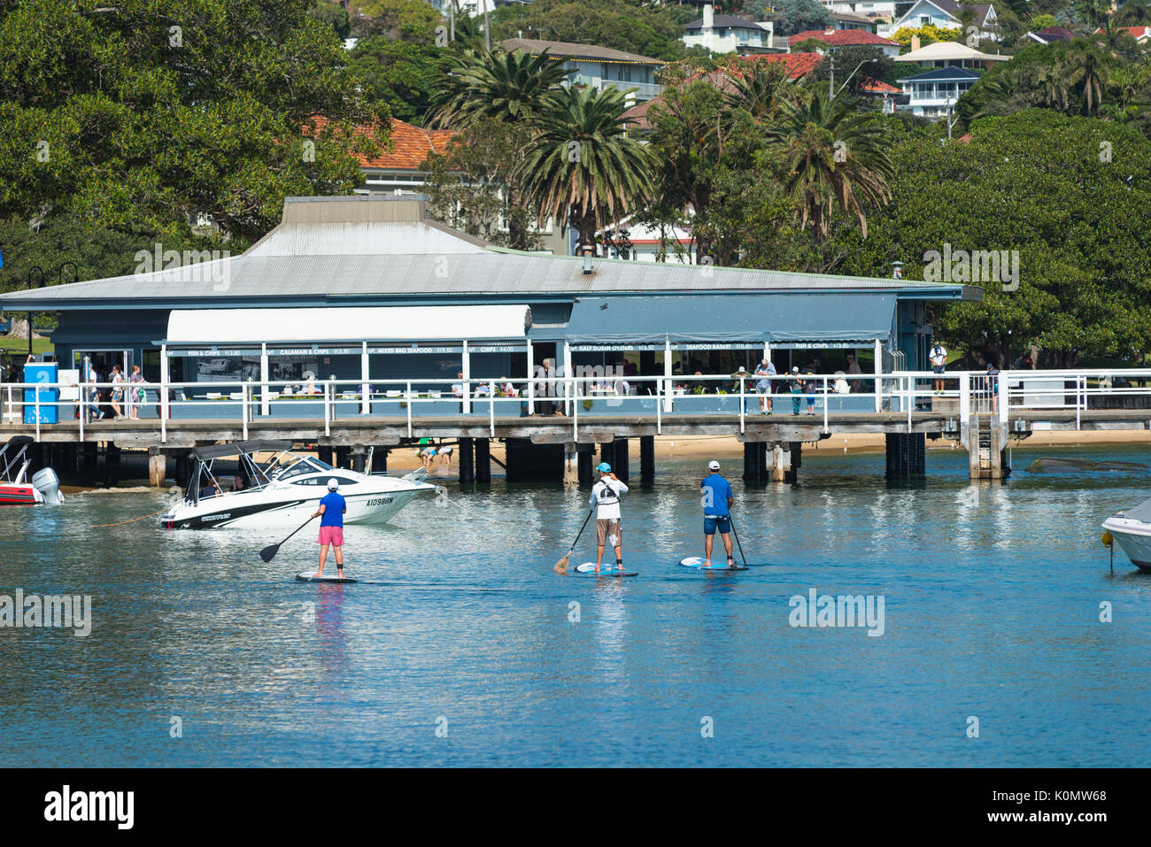 Stand up paddle boarding at Watsons harbour near the ferry stop, Sydney, New South Wales, Australia. Stock Photo