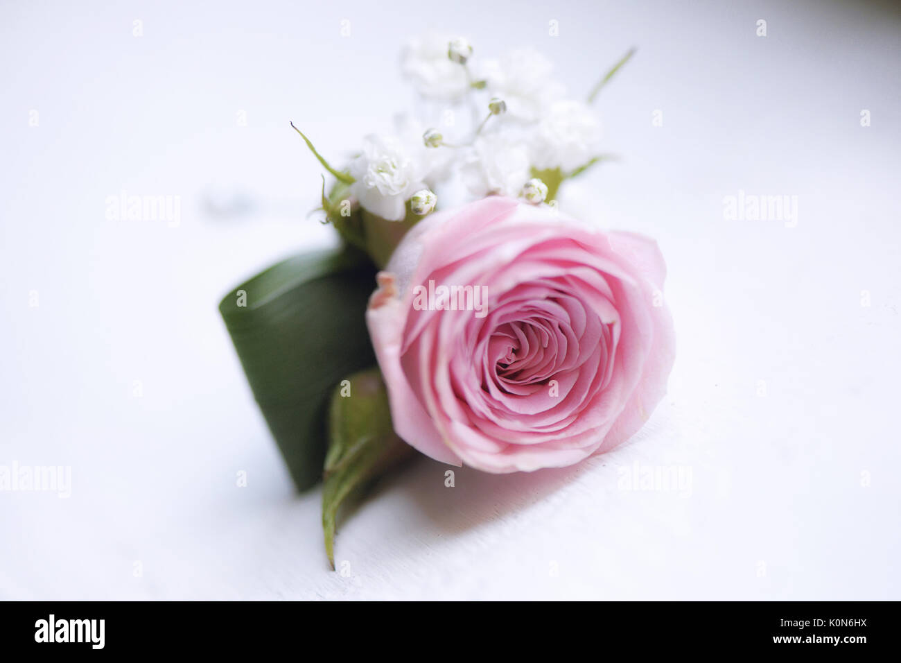 Wedding accessories: delicate pink rose small bouquet for buttonhole used by groom and wedding guests positioned against a white background. Stock Photo