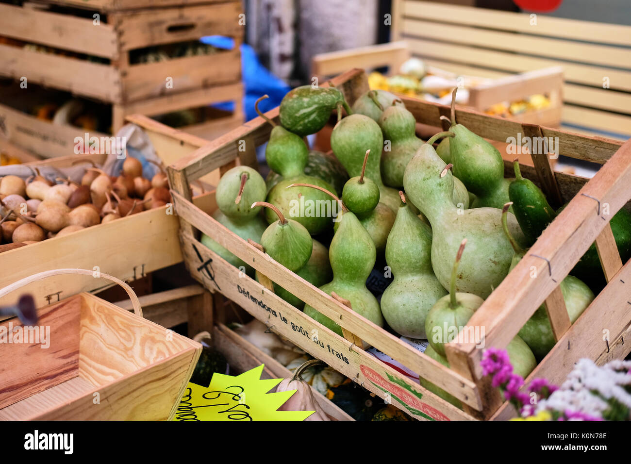 A crate of green bottle gourds / calabashes on a market stall Stock Photo