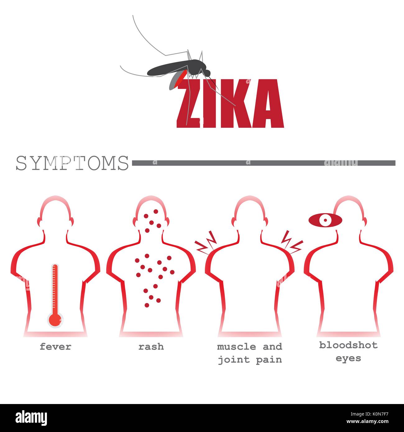 Zika Virus Most Common Symptoms Vector Format Infographic Illustration Stock Vector Image Art Alamy