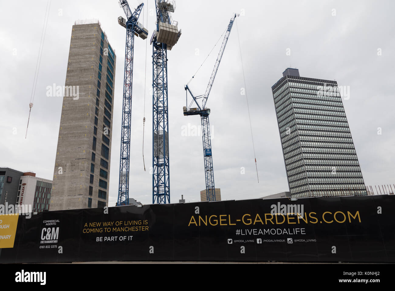 Tower cranes working on the Angel Gardens development in central Manchester, UK. Stock Photo