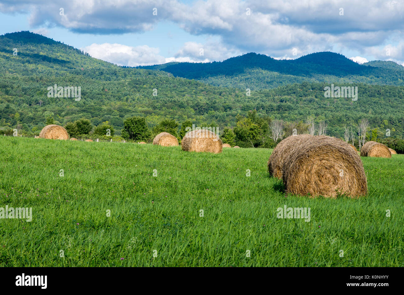 Round hay bales in a field with the Adirondack mountains in the background and blue sky with some clouds Stock Photo