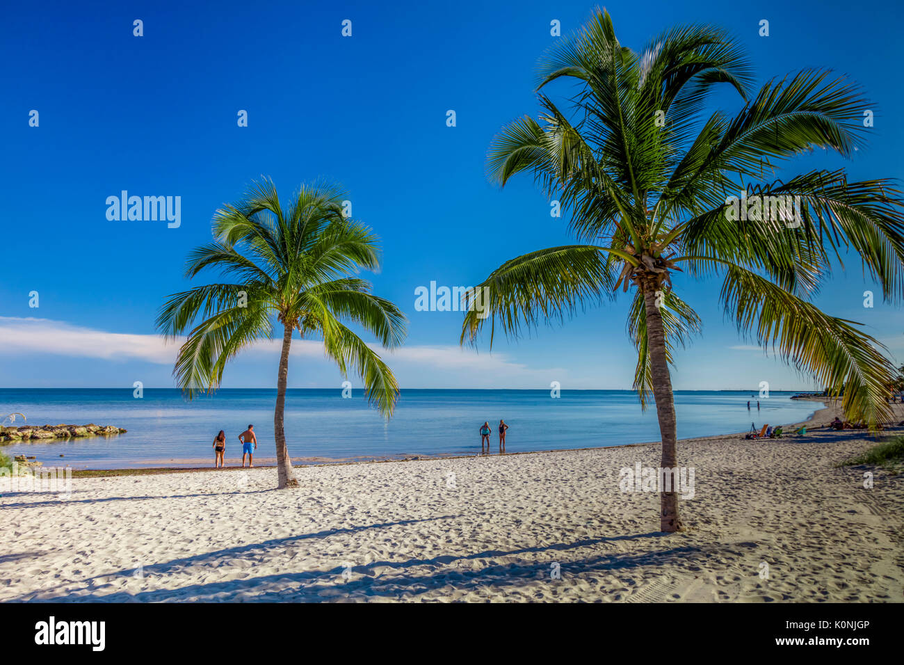Palm trees and people on sandy Smathers Beach on the Atlantic Ocean in Key West Florida on a blue sky summer day Stock Photo