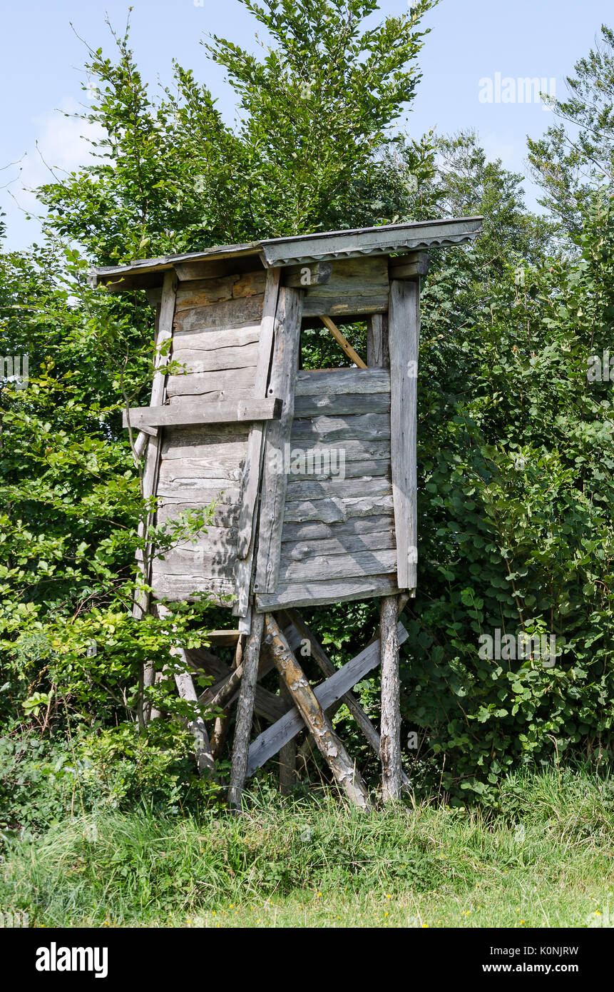 Wooden tree stand along the edge of a meadow, vertical view. Deer or box stand. Enclosed platform to elevate the hunter for better vantage point. Stock Photo