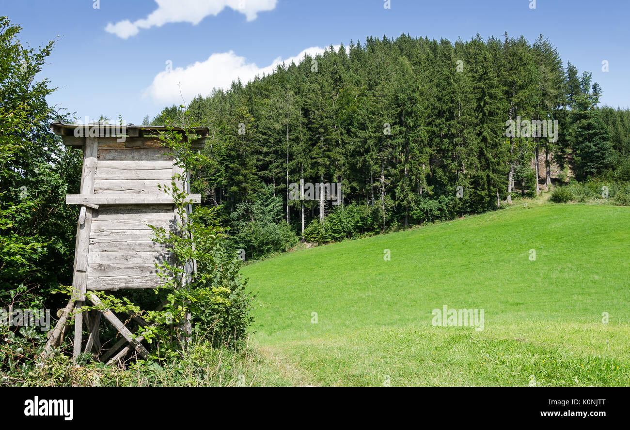 Wooden deer stand along the edge of a meadow, horizontal view. Tree or box stand. Enclosed platform. Elevates the hunter for better vantage point. Stock Photo