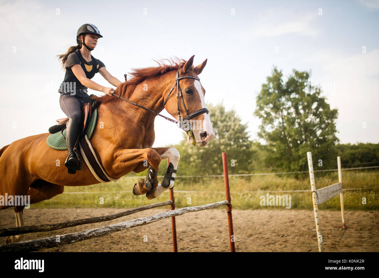 Young female jockey on horse leaping over hurdle Stock Photo