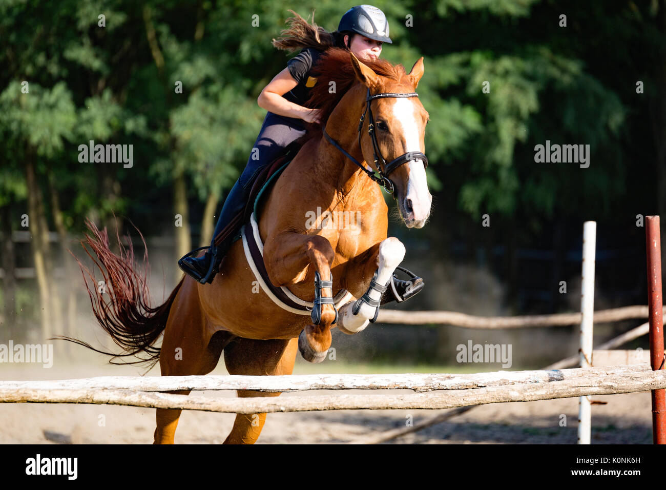 Young jockey on horse hires stock photography and images Alamy