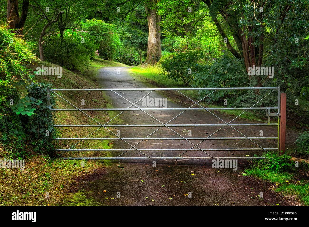 Rustic metal country gate Stock Photo Alamy