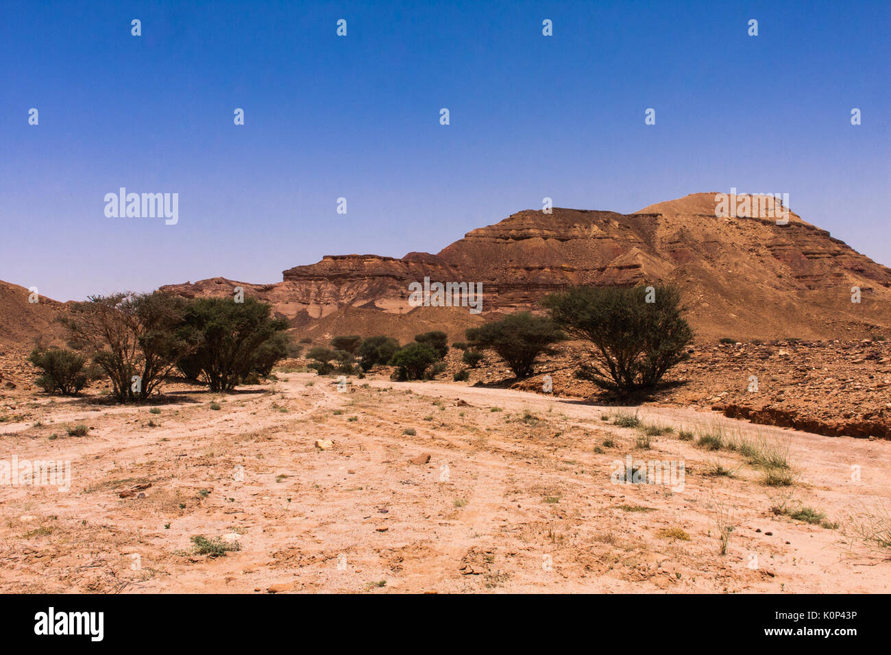 A typical desert landscape, Riyadh Province, Saudi Arabia Stock Photo