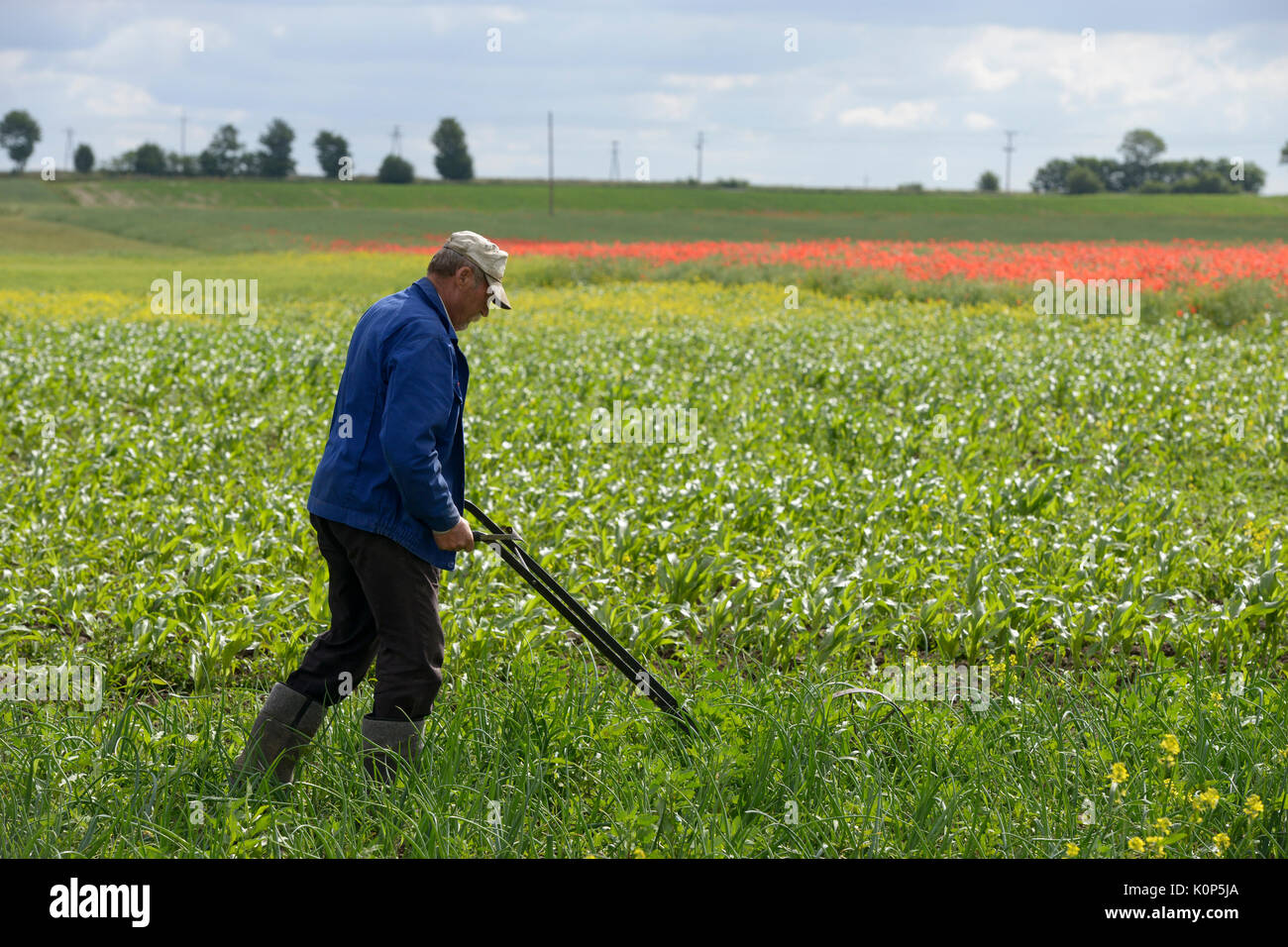 Poland polish farm farmer agriculture hires stock photography and