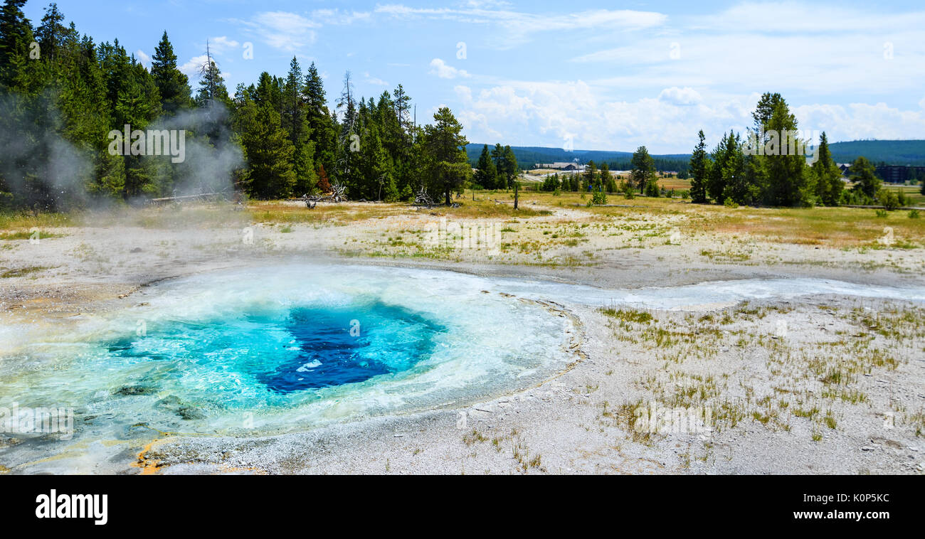 Erupting geysers in Spasmodic Geyser area, the Upper Geyser Basin
