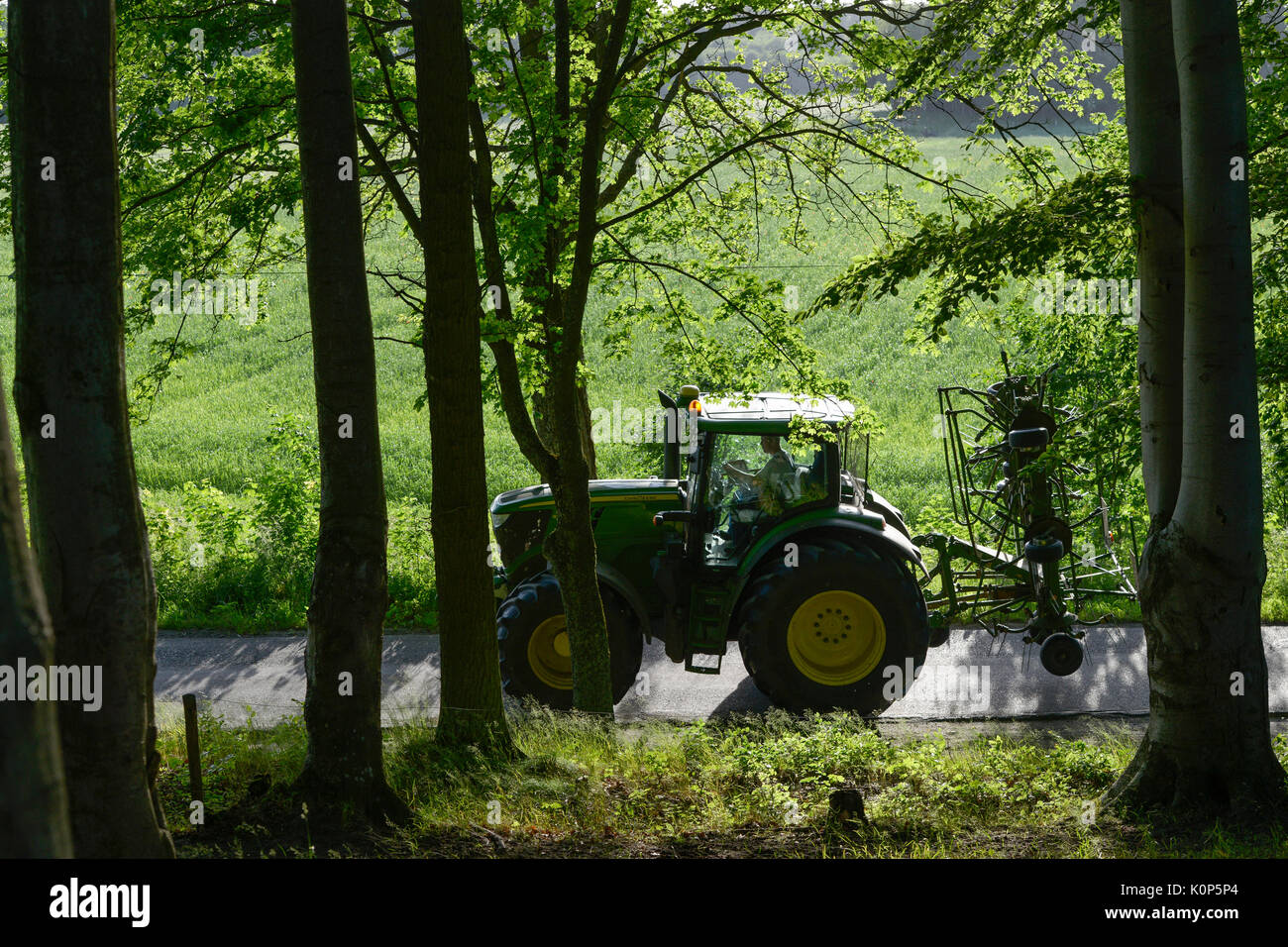 POLAND, Juchowo, organic milk cow farm / POLEN, Juchowo, biologisch wirtschaftender Milchviehbetrieb Stock Photo