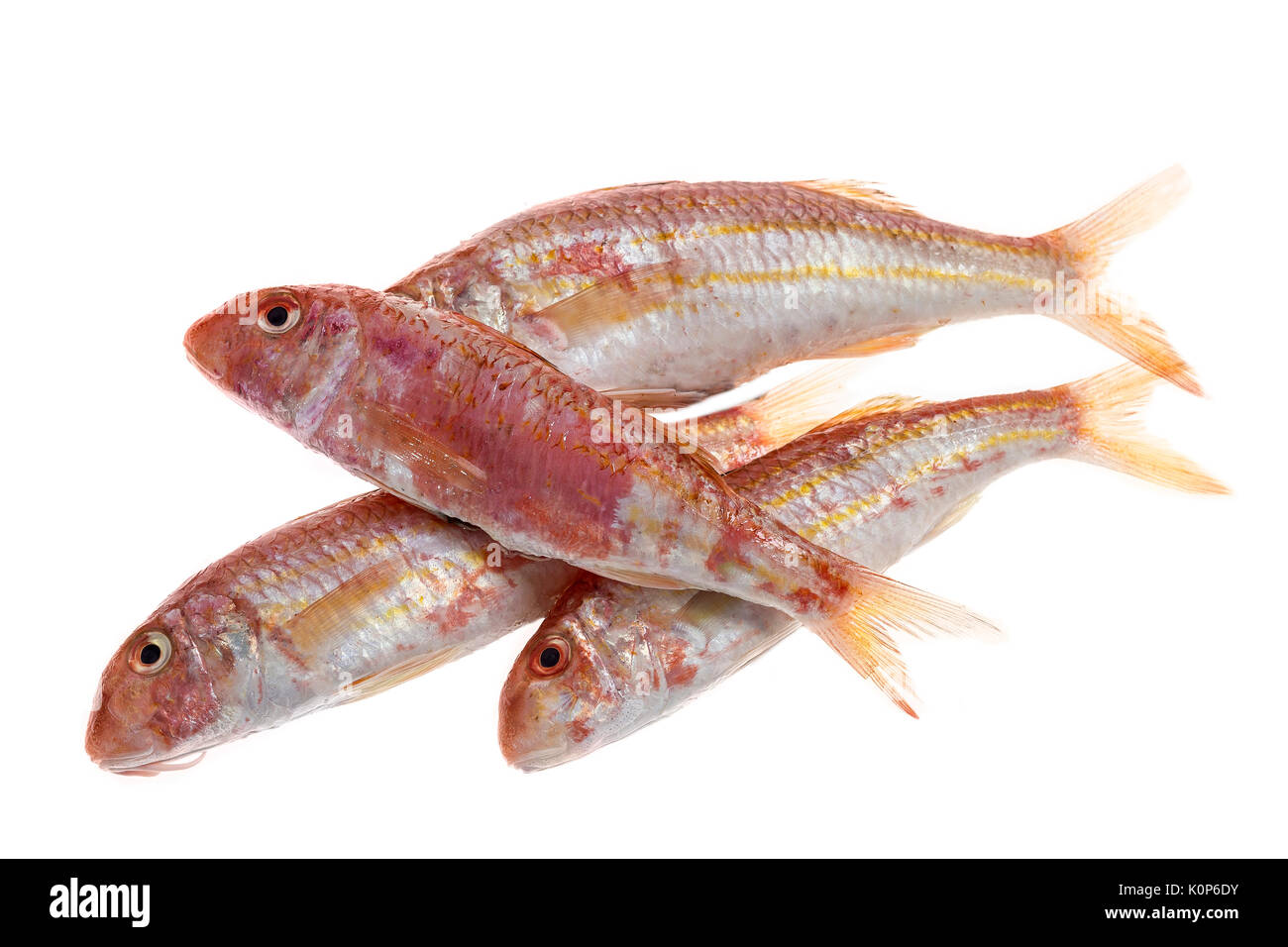 Red mullet fish isolated on white Stock Photo