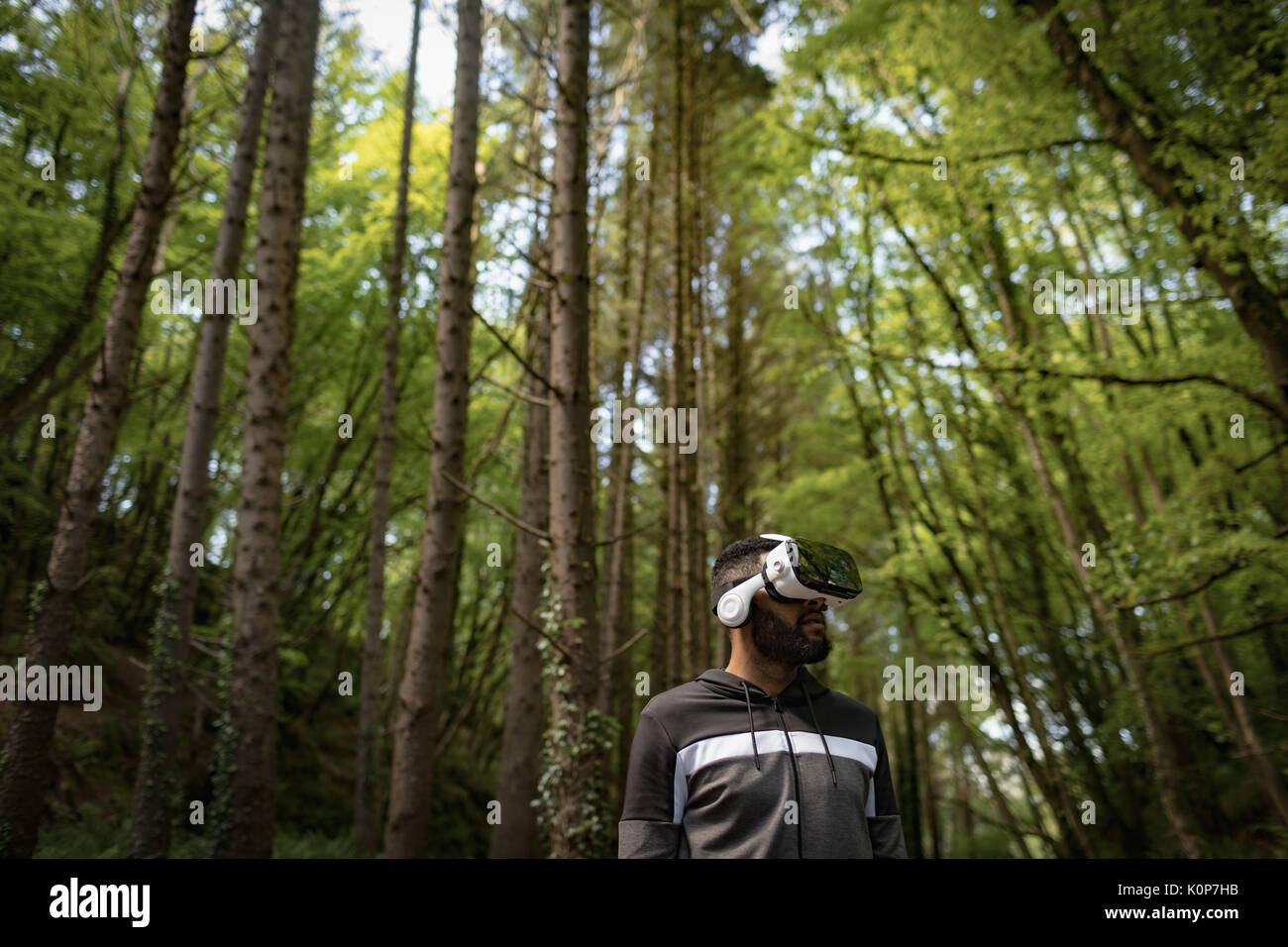 Man wearing vr glasses while standing amidst trees in forest Stock Photo -  Alamy