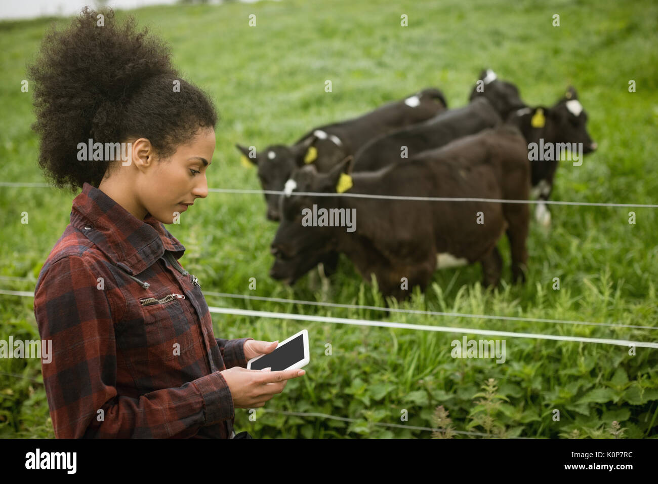 Female farmer using digital tablet in field Stock Photo