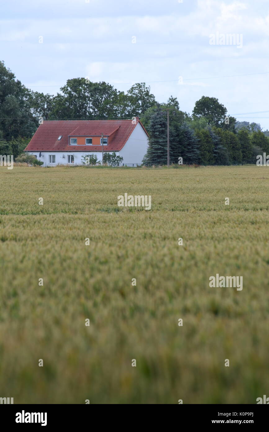 View over field to the historic farm Eichenhof (lit. oak farm) at Jager, Mecklenburg-Vorpommern, Germany. Stock Photo