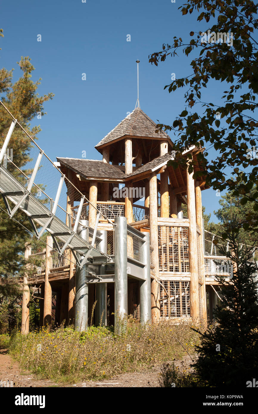 View suspension bridge on the Wild Walk at the Wild Center at Tupper Lake in the Adirondacks of New York state. Stock Photo