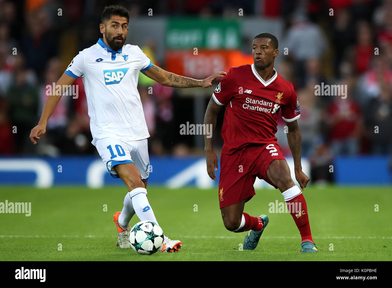 Hoffenheim's Kerem Demirbay (left) and Liverpool's Georginio Wijnaldum in ation during the UEFA Champions League Play-Off, Second Leg match at Anfield, Liverpool. Stock Photo