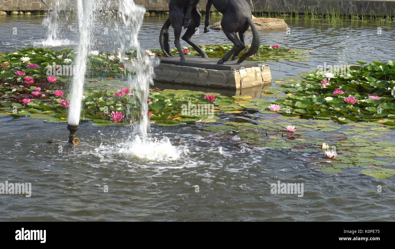 beautiful decorative fountain with water lilies Stock Photo