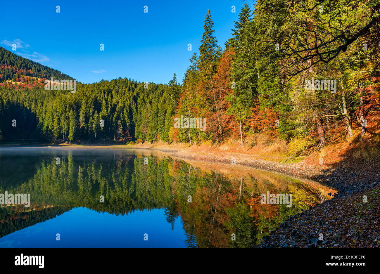 landscape with forest around the mountain lake. beautiful autumnal morning weather Stock Photo