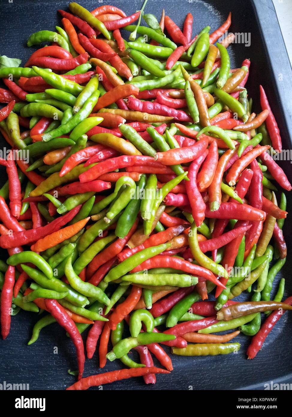 The fruit of the bird's eye chili is popularly used as a spice in South ...