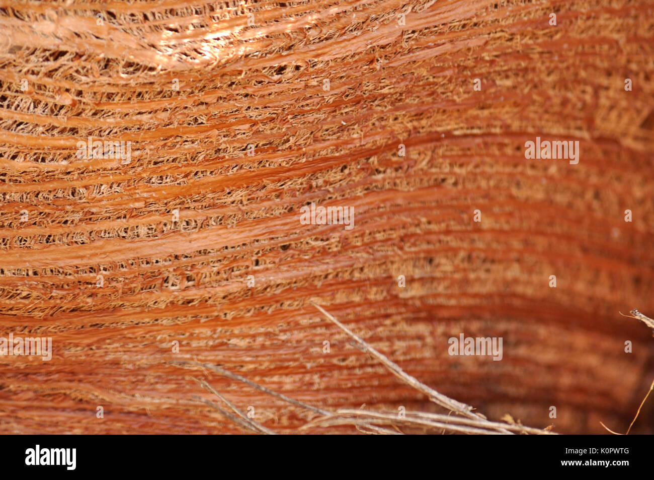 Coconut palm fibers hi-res stock photography and images - Alamy
