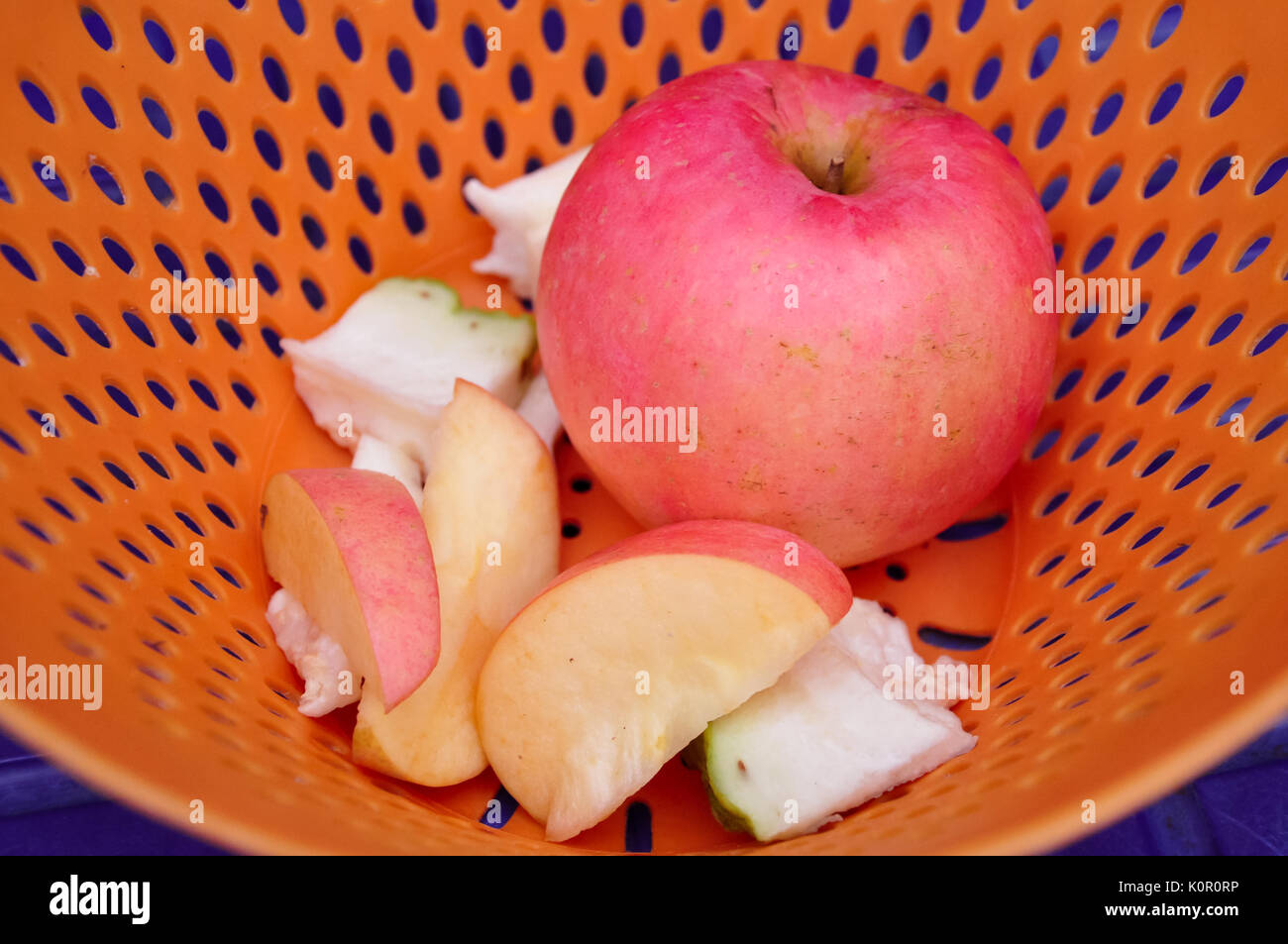 The Fuji apple is a Red Delicious apple and Ralls apple hybrid