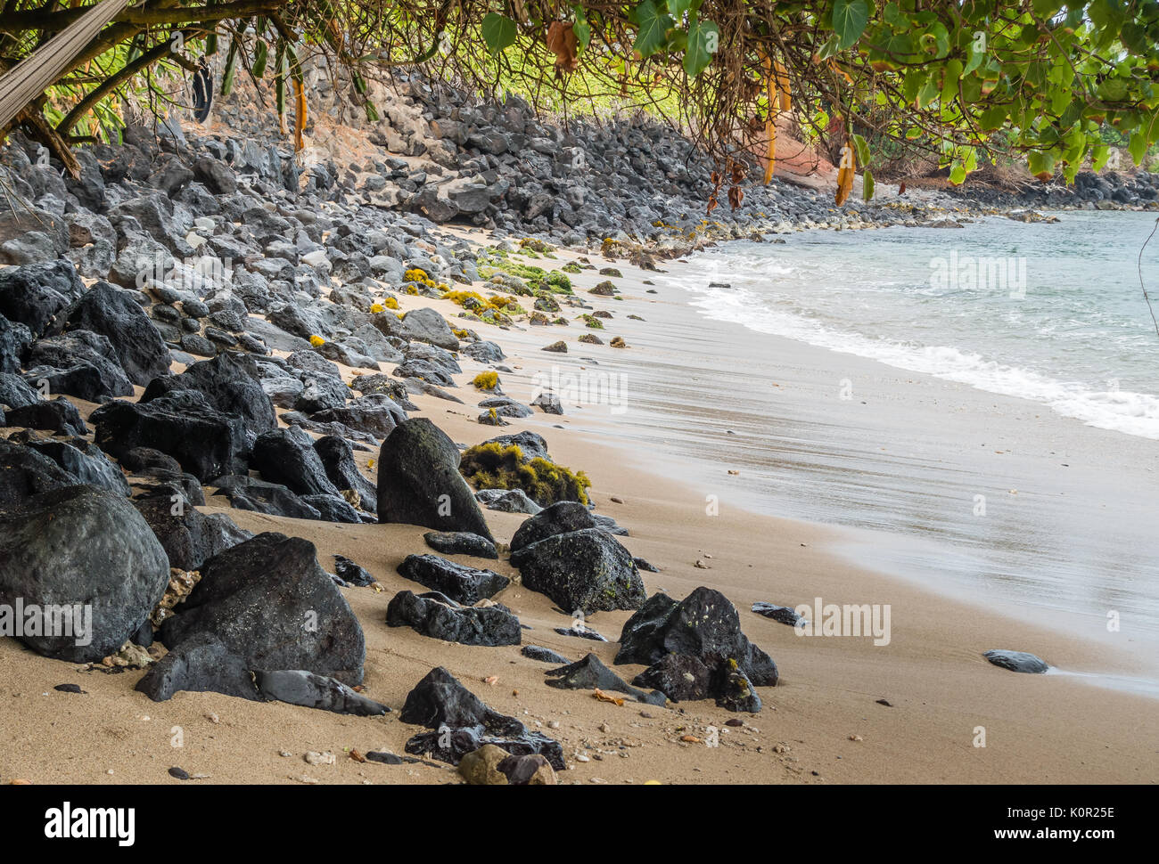 Maui ocean rocks shoreline hi-res stock photography and images - Alamy