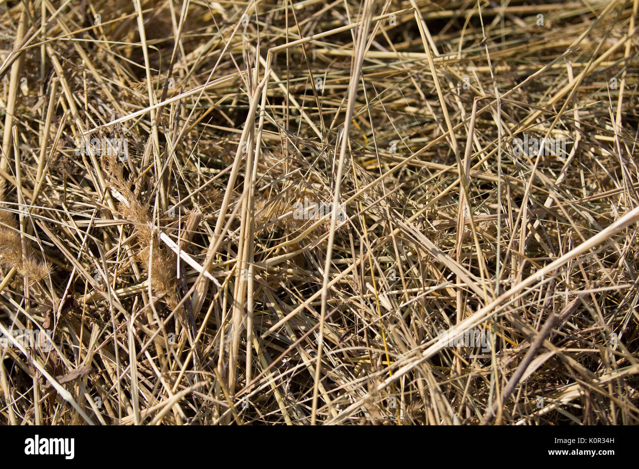 Background - hay stack - natural meadow Stock Photo - Alamy