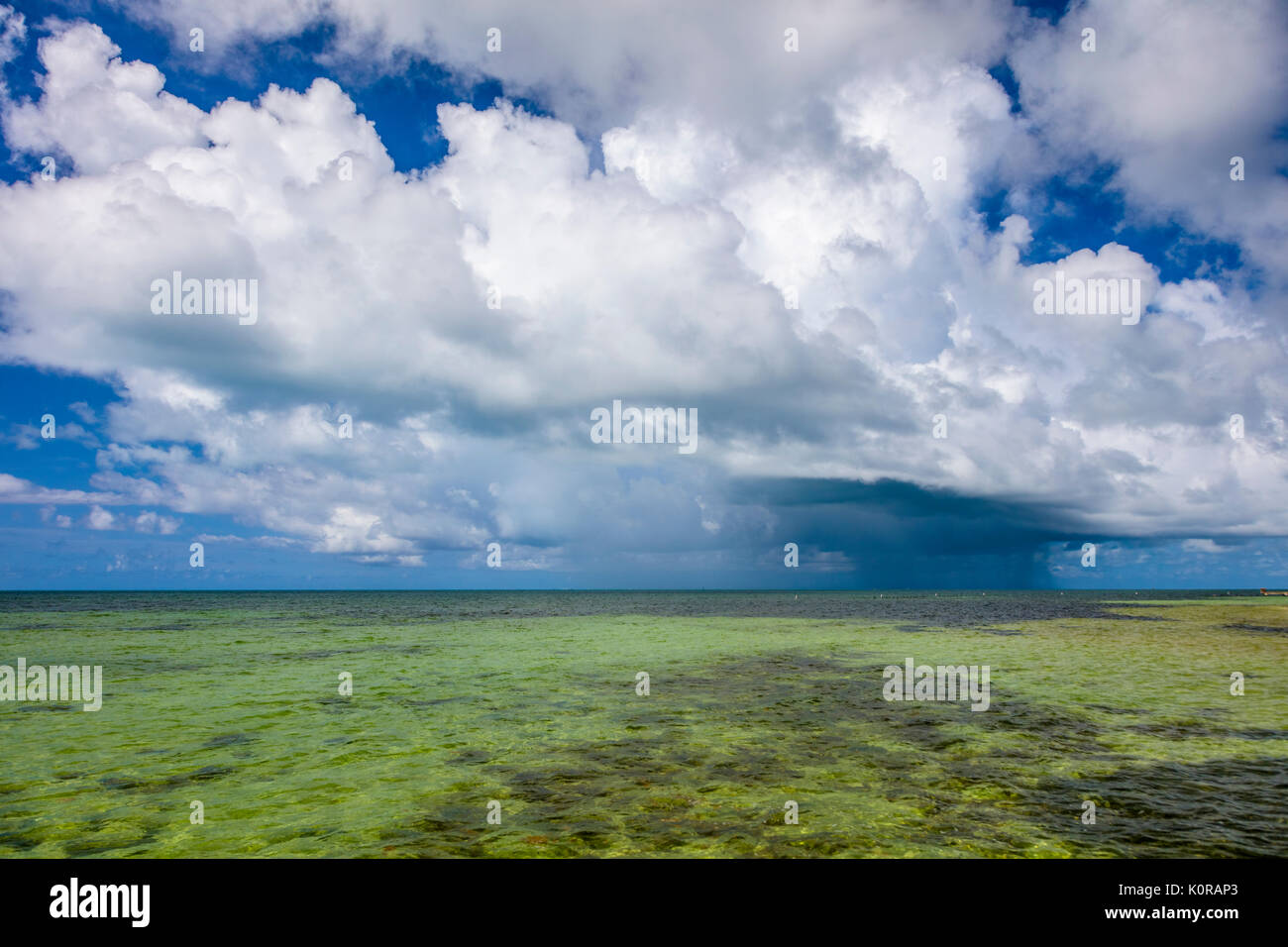 Rain storm over Atlanic Ocean off Key West Florida Stock Photo