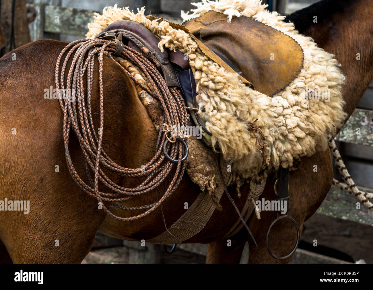 Vestimenta do peao pantaneiro hi-res stock photography and images - Alamy