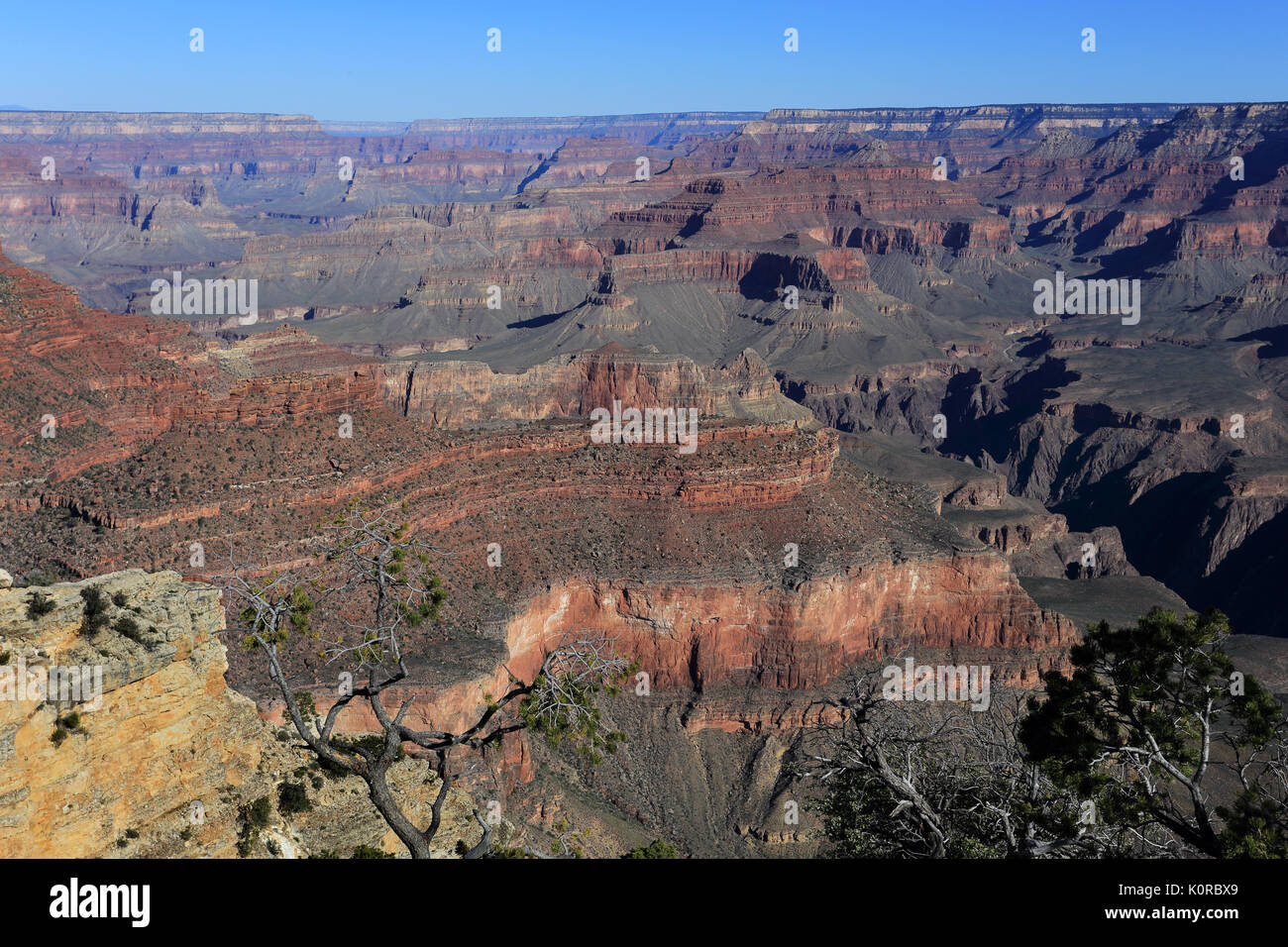 Grand Canyon National Park Arizona USA Stock Photo