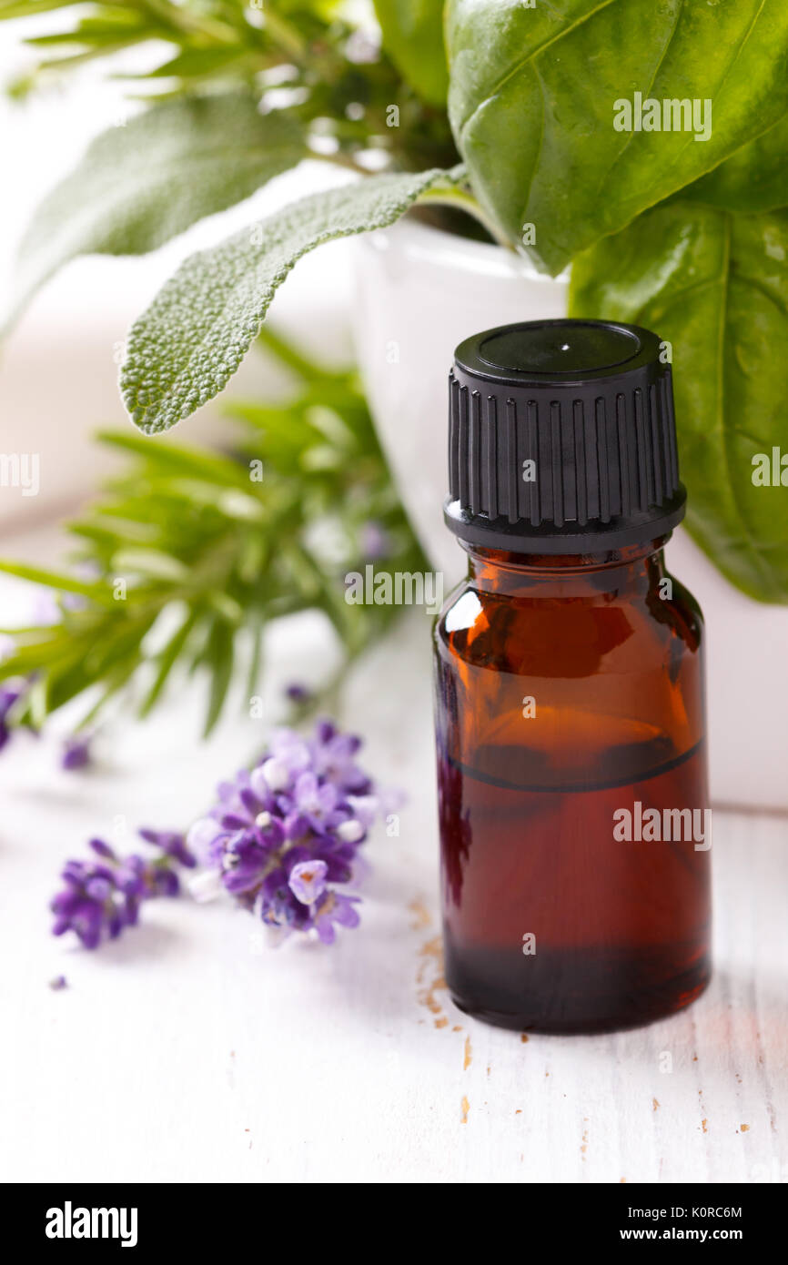 Bottle of essential oil and lavender flowers over white background. Spa ...