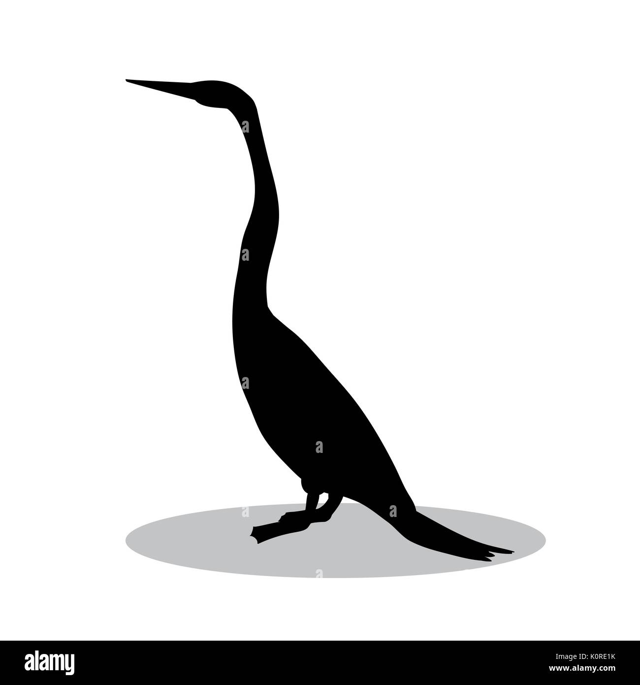Snakebird anhinga black silhouette bird animal. Vector Illustrator. Stock Vector