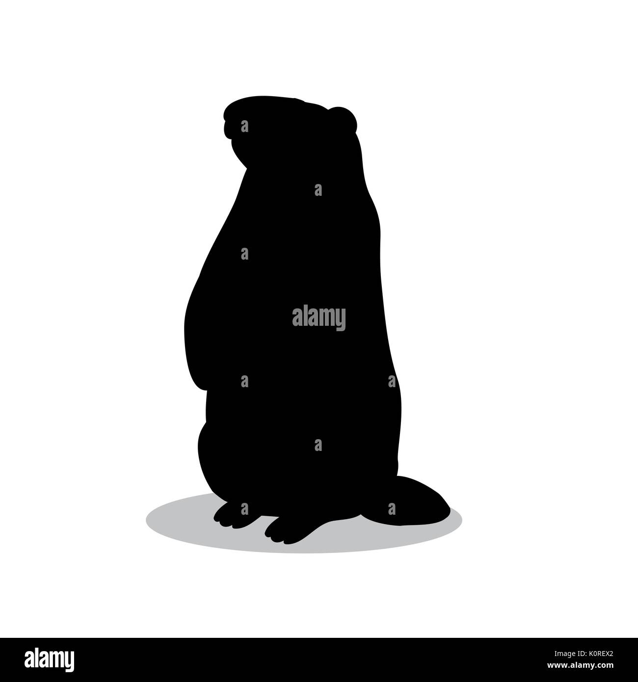 groundhog rodent black silhouette animal vector illustrator K0REX2 groundhog rodent black silhouette animal. vector illustrator stock