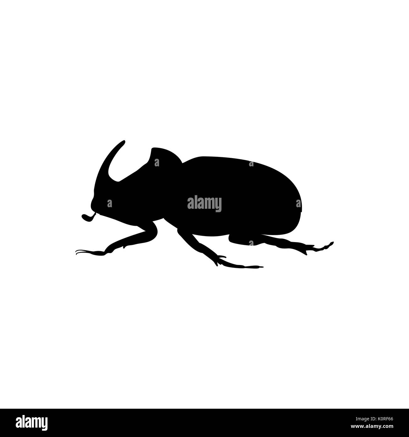 Rhinoceros beetle insect black silhouette animal. Vector Illustrator. Stock Vector