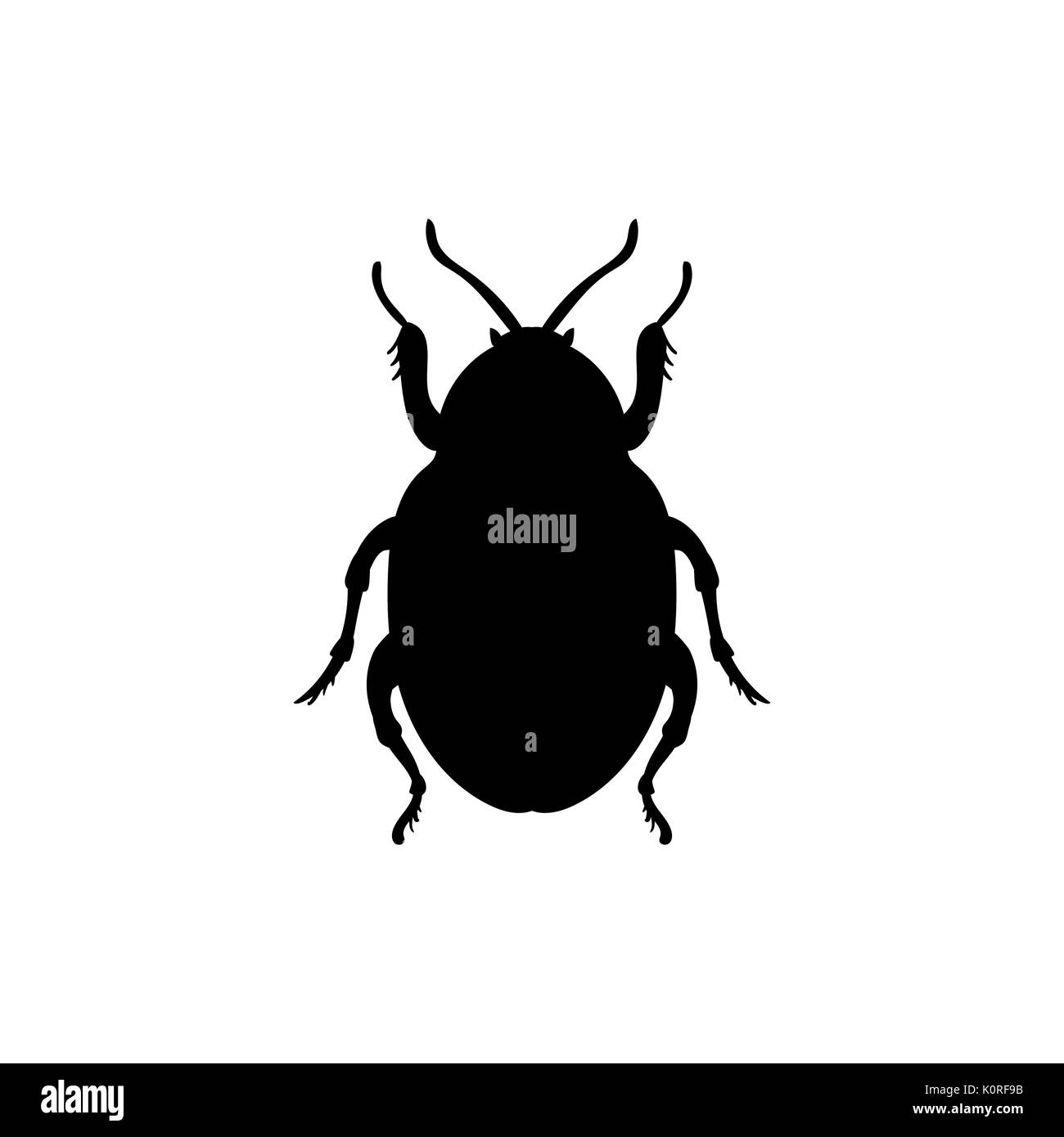 Beetle insect black silhouette animal. Vector Illustrator. Stock Vector