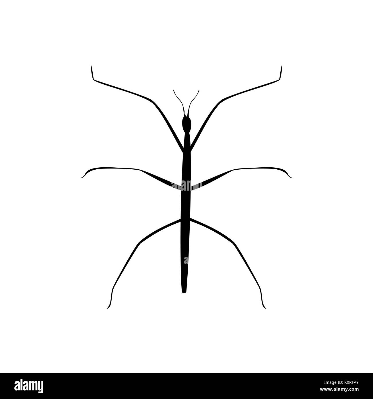 Stick insect black silhouette animal. Vector Illustrator. Stock Vector