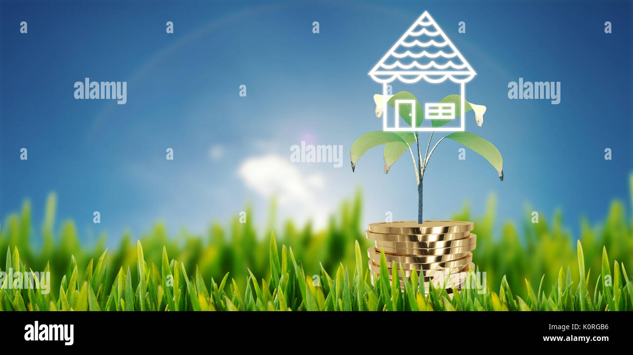Grass growing outdoors against cloudy sky with sunshine Stock Photo