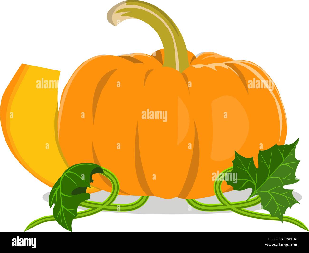 Isolated pumpkin on white background. Vector flat illustration Stock ...