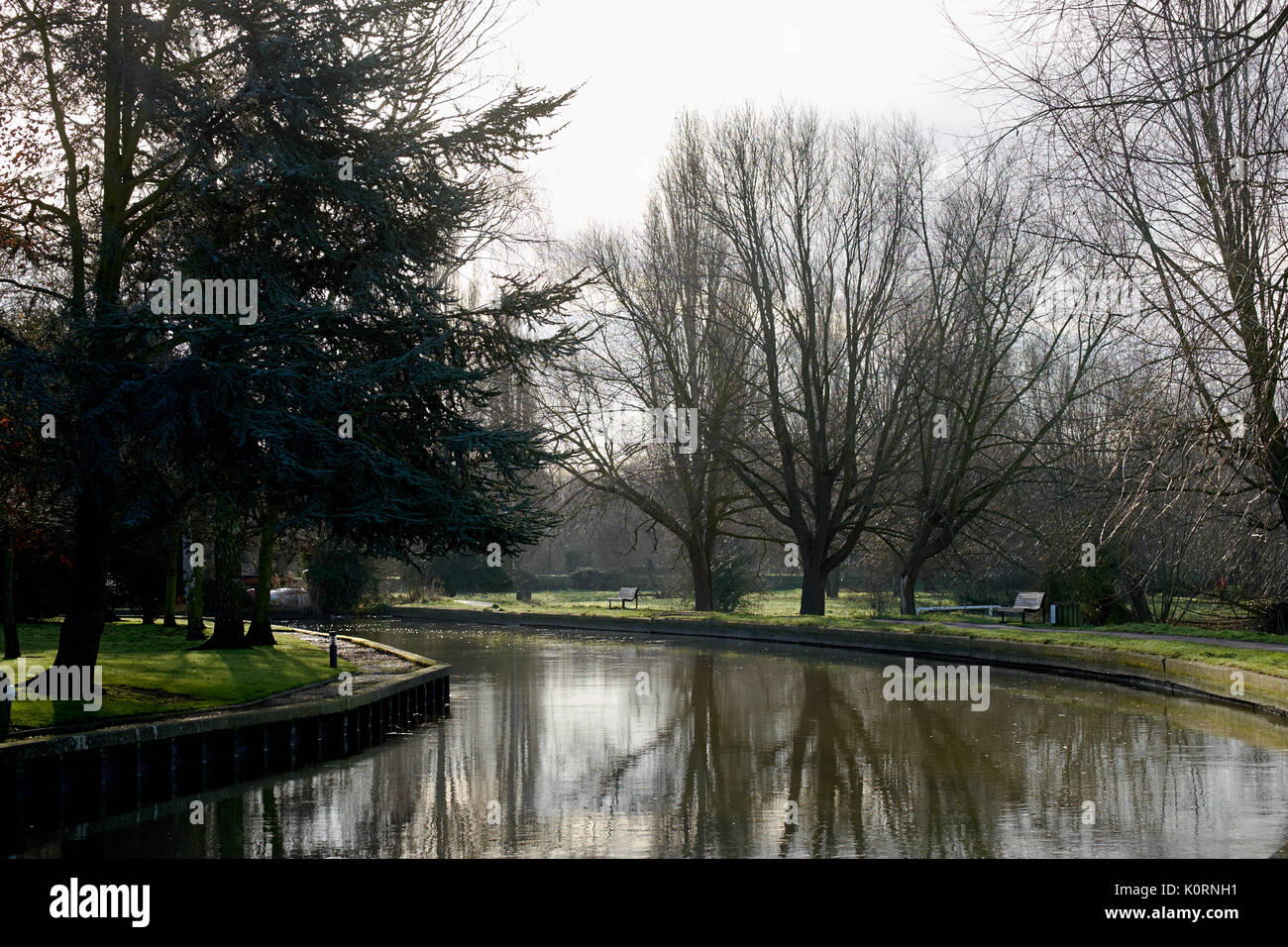 River Cam at Coe Fen Cambridge Stock Photo - Alamy