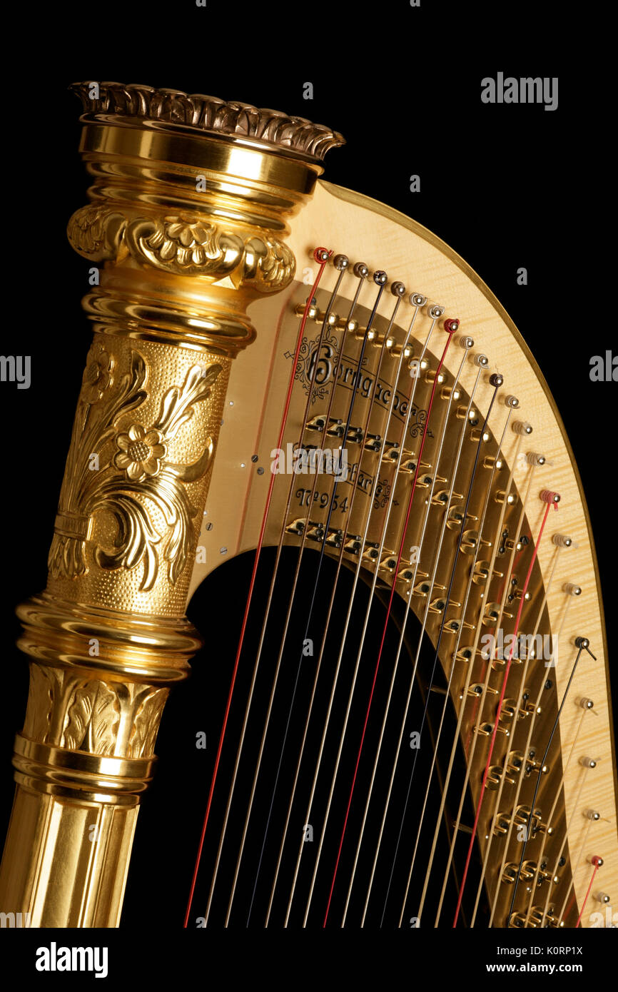 Concert harp of German origin closeup of detail showing tuning pegs