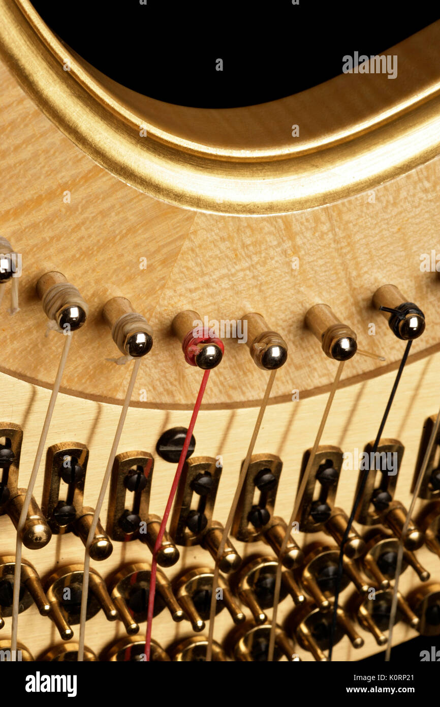Concert harp of German origin closeup of detail showing tuning pegs