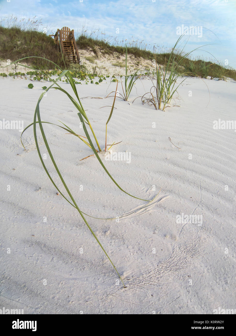 Private beach access walkway and white beach sand with vegetation Stock Photo