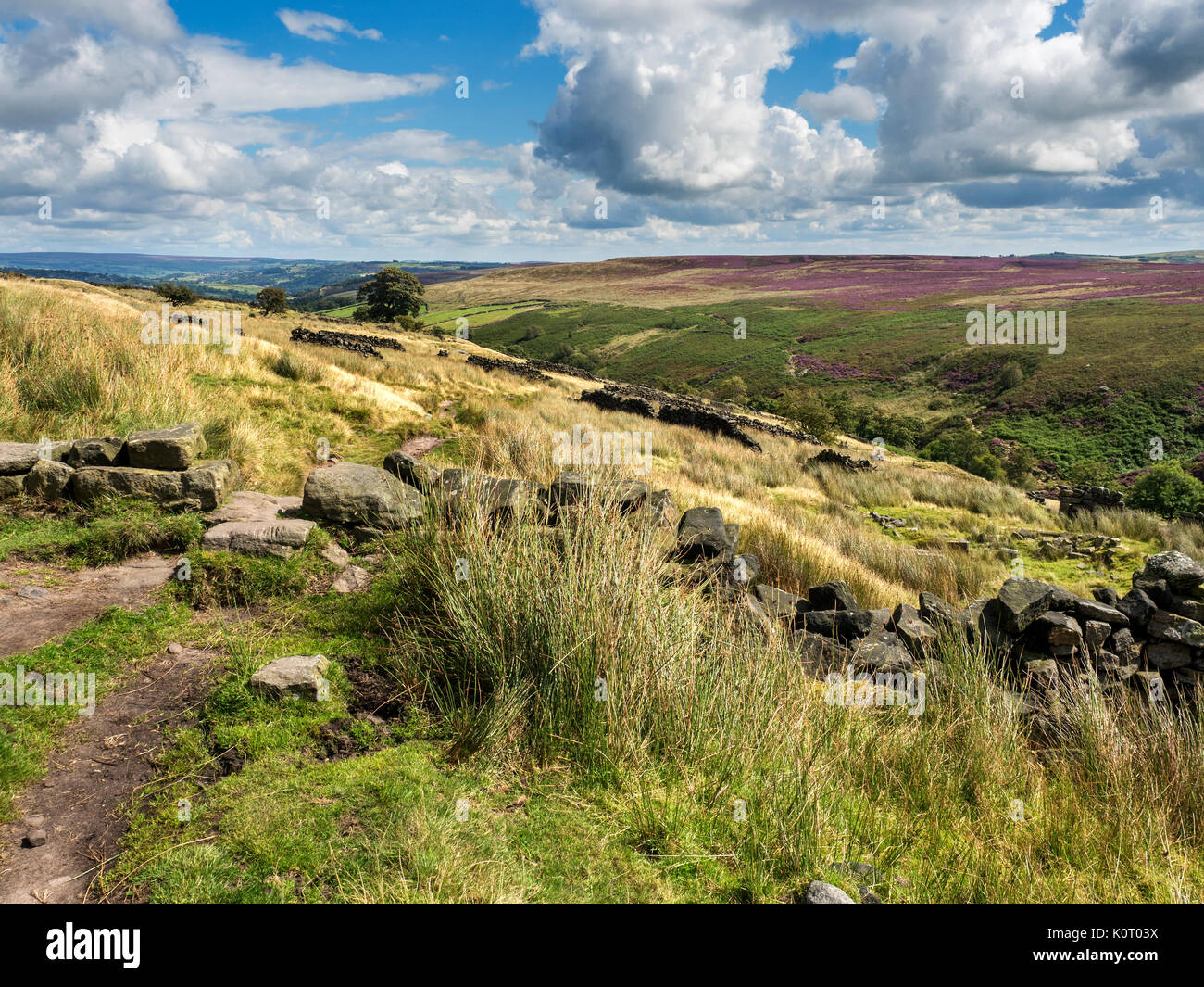 The Bronte Way on Haworth Moor near Haworth West Yorkshire England Stock Photo