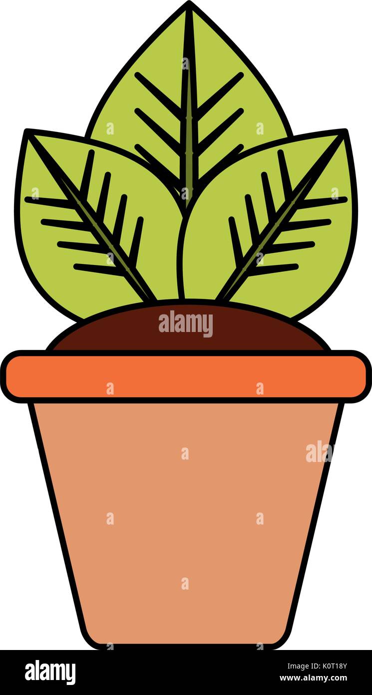 Plant in pot Stock Vector Image & Art - Alamy